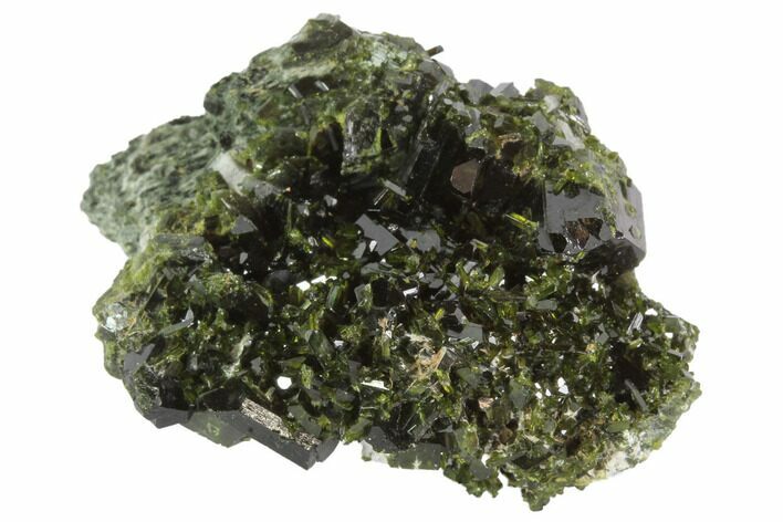 Lustrous Epidote Crystal Cluster on Actinolite - Pakistan #91958